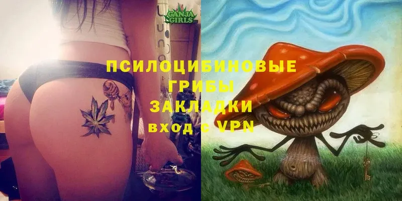 где купить наркоту  Гуково  Галлюциногенные грибы MAGIC MUSHROOMS 